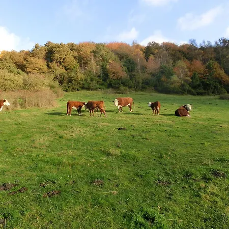 Bramslevgaard Otel Hobro