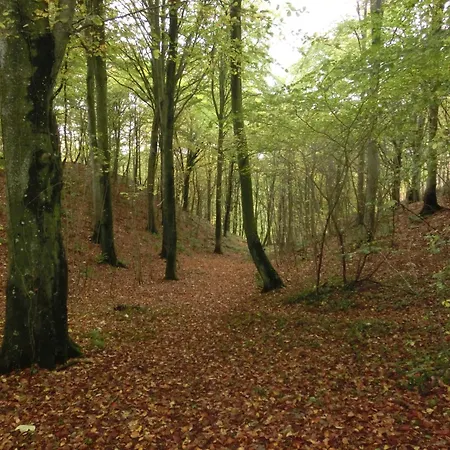 Bramslevgaard Hotel 3*