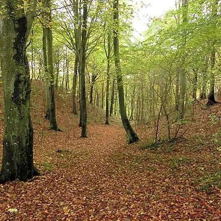 Bramslevgaard