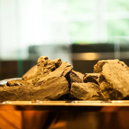 Hotel Bramslevgaard 3*