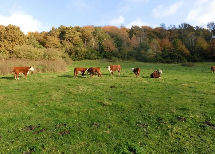 Bramslevgaard Hotel Hobro
