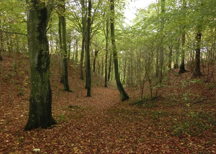 Bramslevgaard Hotel 3*