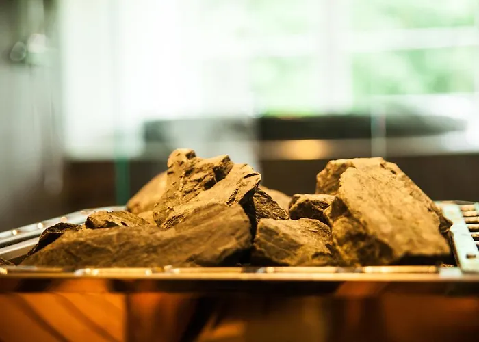 Hotel Bramslevgaard 3*